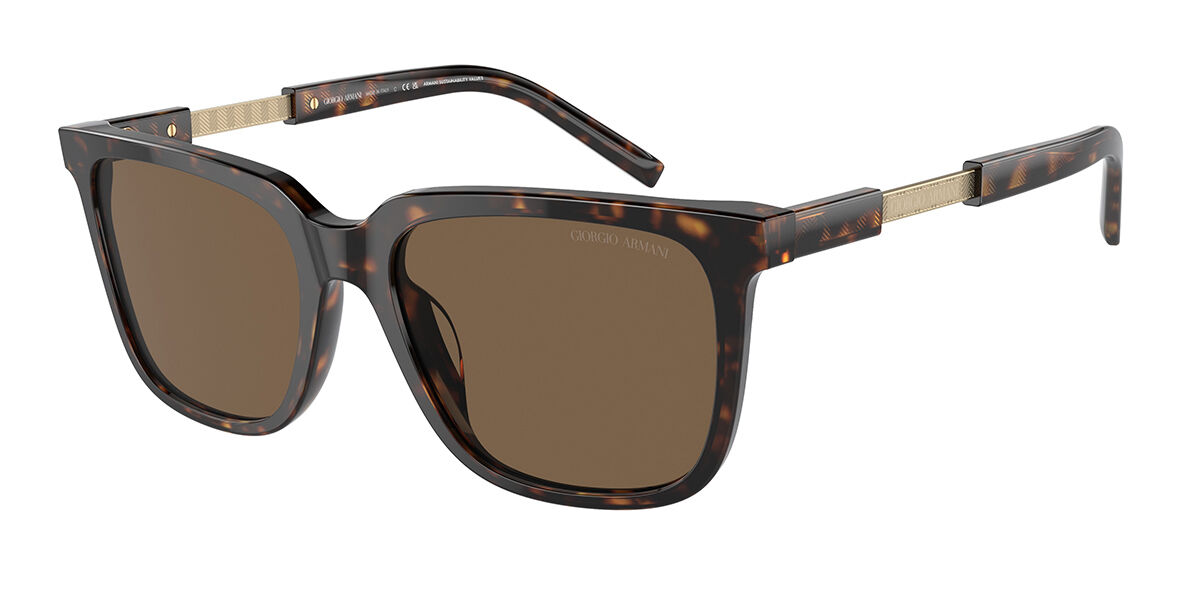 Image of Giorgio Armani AR8202U 587973 Óculos de Sol Tortoiseshell Masculino PRT