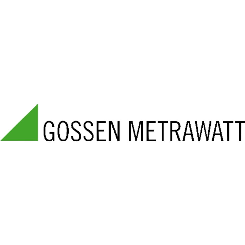 Image of Gossen Metrawatt S110V IZYTRONIQ BUSINESS Starter/Premium Software 1 pc(s)
