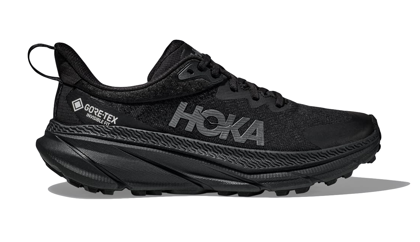 Image of Hoka One One Challenger 7 GTX ESP