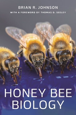Image of Honey Bee Biology