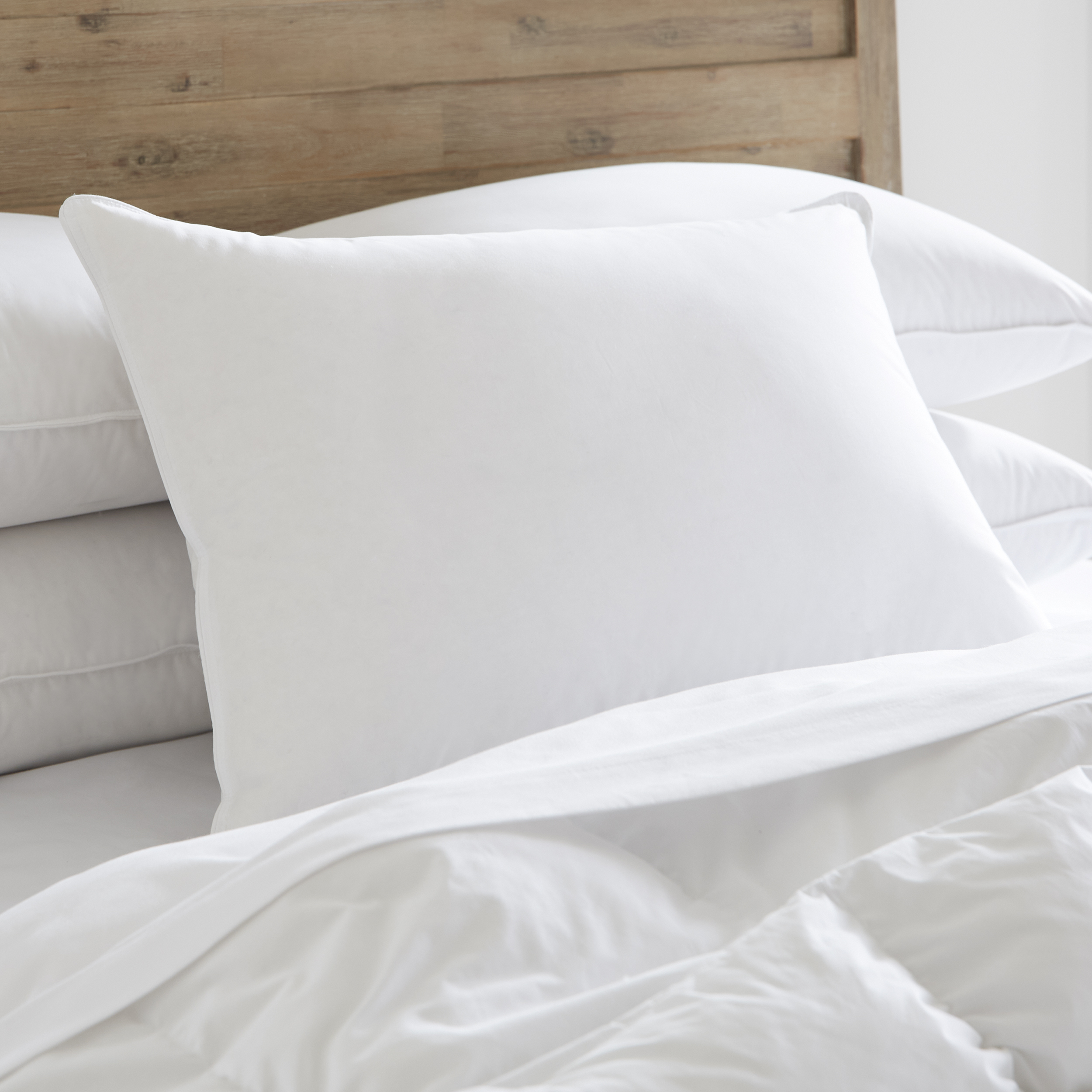 Image of Hotel Tria Organic Cotton Cover All Down Pillow King | Pacific Coast Feather