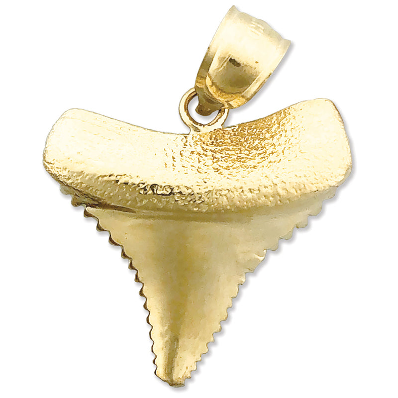 Image of ID 1 14K Gold Serrated Shark Tooth Pendant