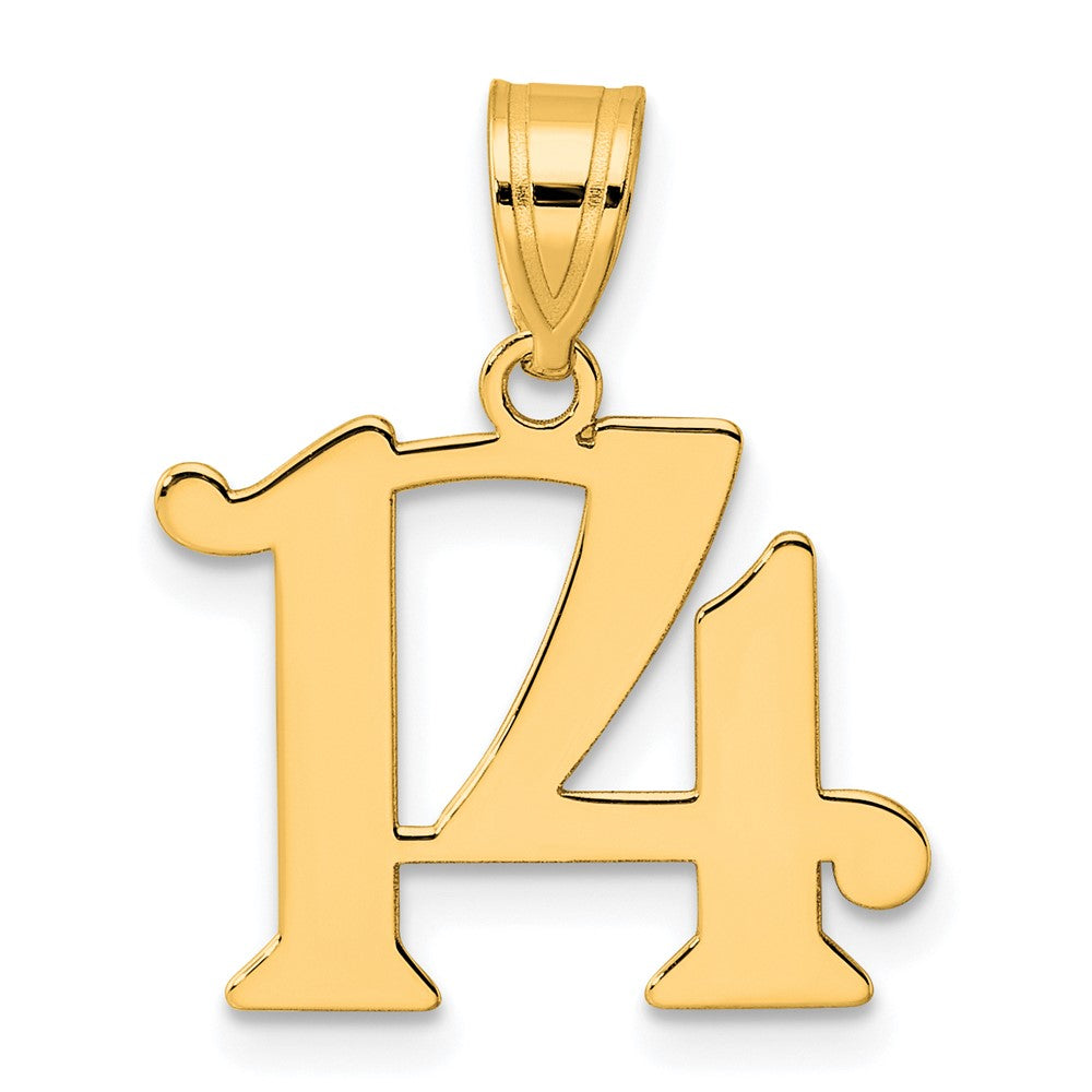 Image of ID 1 14k Yellow Gold Polished Number 14 Pendant