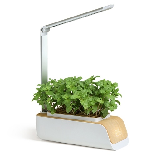 Image of ID 1266861834 Hydroponics Growing System Indoor Herb Garden Kit with Grow Light