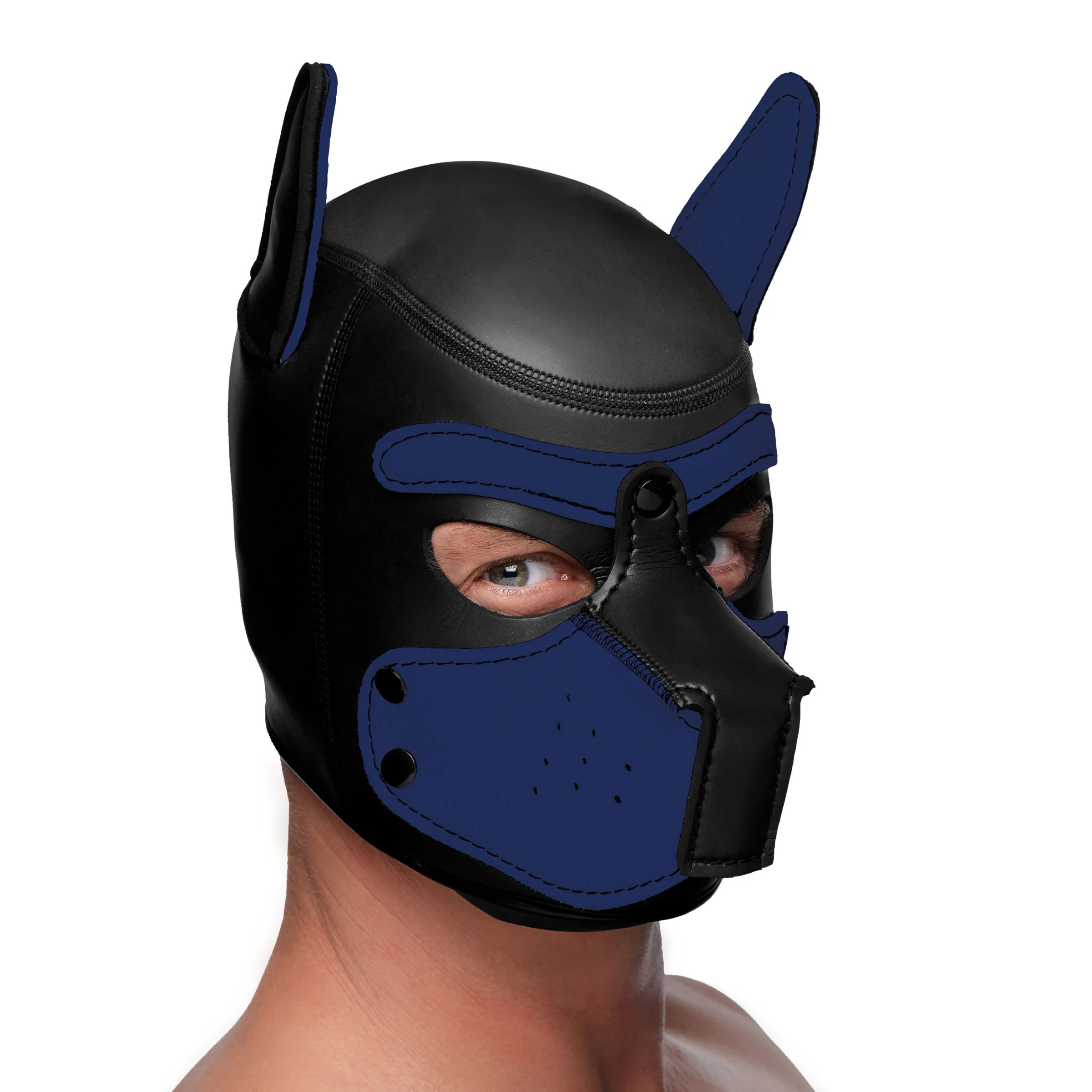 Image of ID 1347770472 Spike Neoprene Puppy Hood - Blue