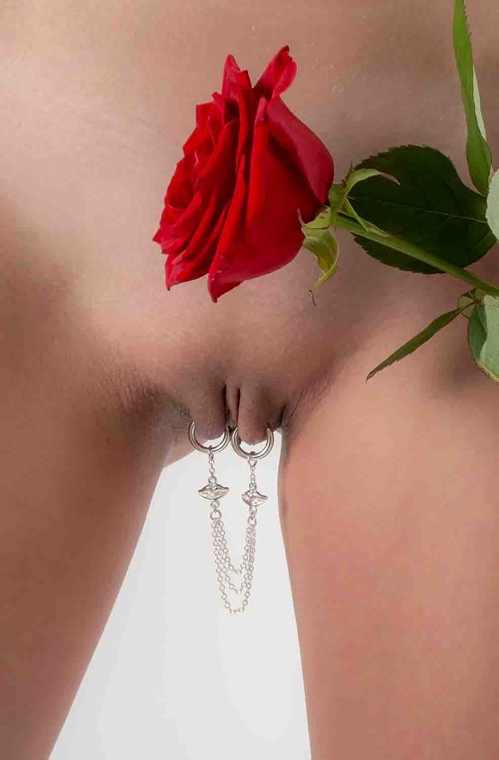 Image of ID 1363602626 Kiss Kiss - Non-Piercing Silver Kisses Labia Jewelry