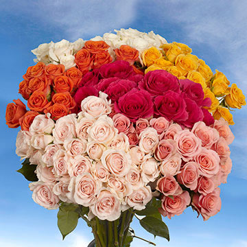 Image of ID 494176264 100 Assorted Color Spray Roses