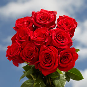 Image of ID 494176267 400 Red Roses Great Value