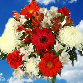 Image of ID 495070375 9 Bicolor Flower Centerpieces