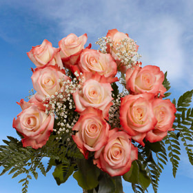 Image of ID 495070389 144 Assorted Roses & Fillers