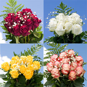 Image of ID 495070390 14 Dozen Roses Pick 14 Colors