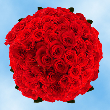 Image of ID 495070418 200 Fresh Cut Bright Red Roses