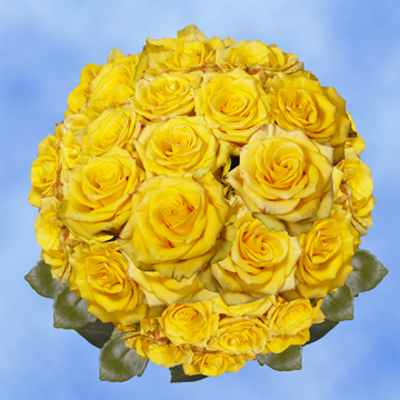 Image of ID 495070425 100 Yellow/Touch of Red Roses