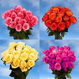 Image of ID 495070432 144 Your Choice Color Roses