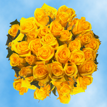 Image of ID 495070437 100 Yellow Valentine's Roses