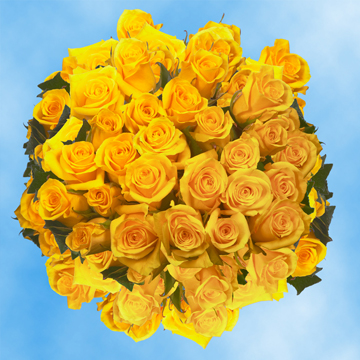 Image of ID 495070454 150 Yellow Valentine's Roses