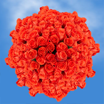 Image of ID 495070464 200 Fresh Salmon Orange Roses