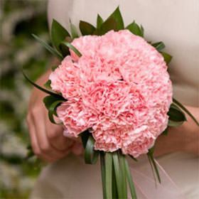 Image of ID 495070480 3 Bridal Bouquet 15 Carnations