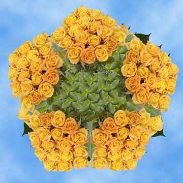 Image of ID 495070481 250 Yellow Roses Skyline Roses