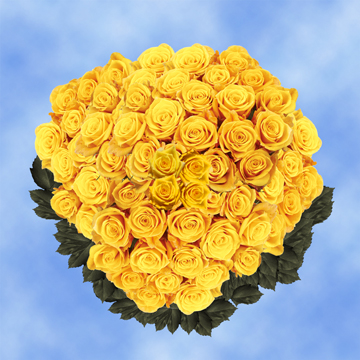 Image of ID 495070499 150 Dark Yellow Roses