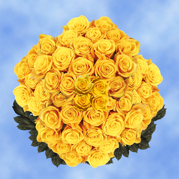 Image of ID 495070514 100 Dark Yellow Roses