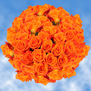 Image of ID 495070516 150 Fresh Bright Orange Roses