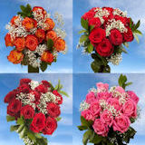 Image of ID 495070673 8 Dozen Roses 4 Red 4 Assorted