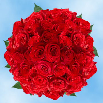 Image of ID 495070745 200 Freedom Red Roses