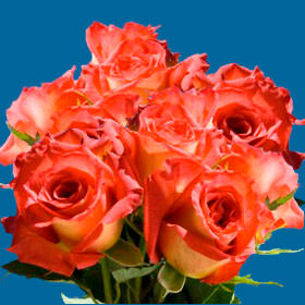 Image of ID 495070778 150 Dark Orange/Yellow Roses