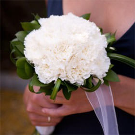 Image of ID 495070914 3 Bridal Bouquets White Roses