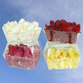 Image of ID 495070927 5000 Assorted Rose Petals