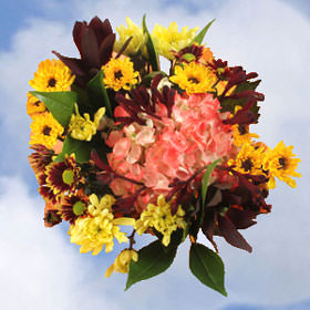 Image of ID 495070958 17 Thanksgiving Bouquets