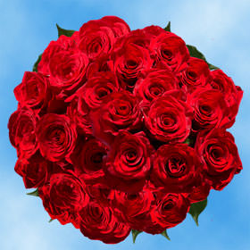 Image of ID 495071031 100 Fresh Cut Red Roses