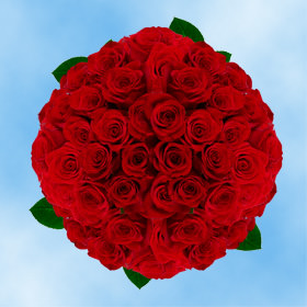 Image of ID 495071052 150 Fresh Cut Red Roses