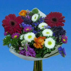 Image of ID 495071058 4 Multicolor Delight Bouquets