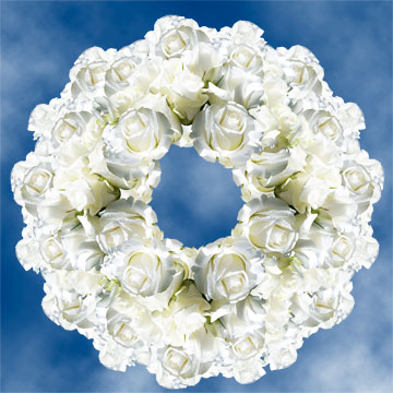 Image of ID 495071172 250 White Roses Free Delivery