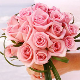 Image of ID 495071199 Pink Roses Bridal Bouquet