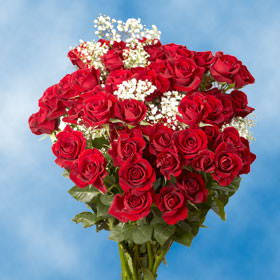 Image of ID 495071216 96 Spray Roses & Fillers