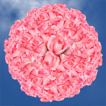 Image of ID 495071253 150 Fresh Cut Dark Pink Roses