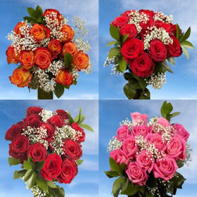 Image of ID 495071256 16 Dozen Roses 8 Red 8 Color