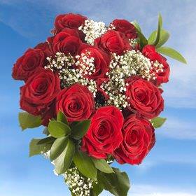 Image of ID 495071257 8 Dozen Red Roses + Fillers