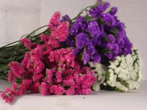 Image of ID 495071270 20 Assorted Stunning Bunches