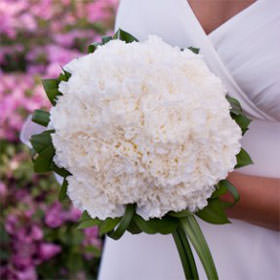 Image of ID 495071284 White Carnation Bridal Bouquet