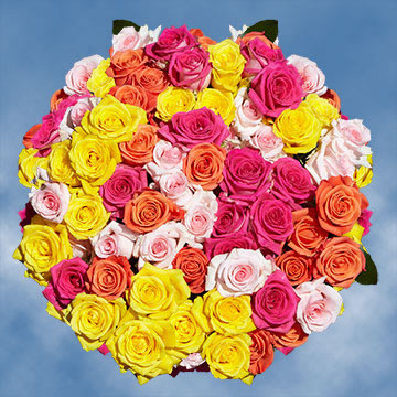 Image of ID 495071369 250 Assorted Color Carnations