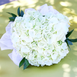 Image of ID 495071381 6 Bridal Bouquets White Roses