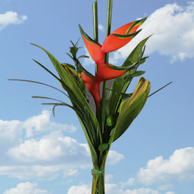 Image of ID 495071403 4 Red Heliconia Bouquets