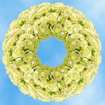 Image of ID 495071443 250 Fresh Creamy Green Roses