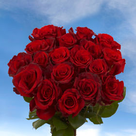 Image of ID 495071495 8 Dozen Gorgest Red Roses