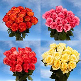 Image of ID 495071496 96 Roses Assorted Color