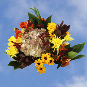 Image of ID 495071621 8 Autumn Flower Bouquets